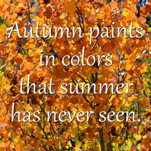 autumn paints